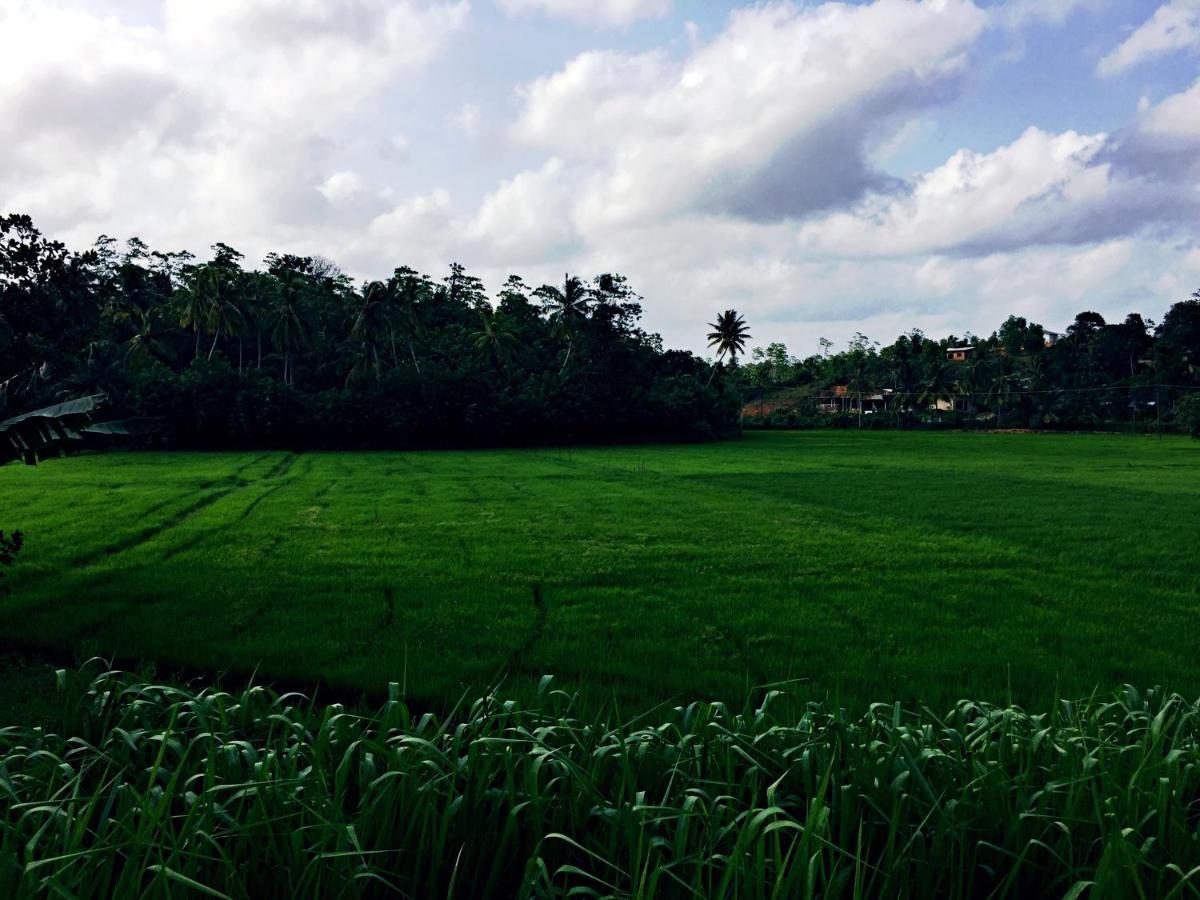 Thaaaru Villa Mirissa Exteriér fotografie
